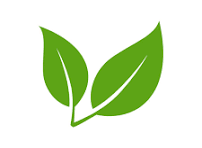 Plant Based Icon